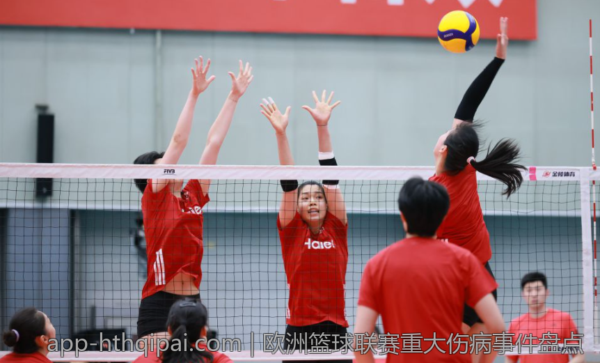 欧洲篮球联赛重大伤病事件盘点